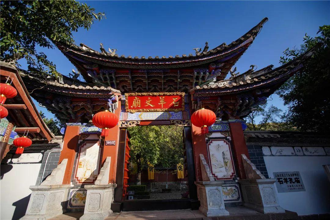 漂亮鹦鹉救援